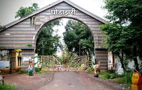 Scenic view of Ghodazari Wildlife Sanctuary forest